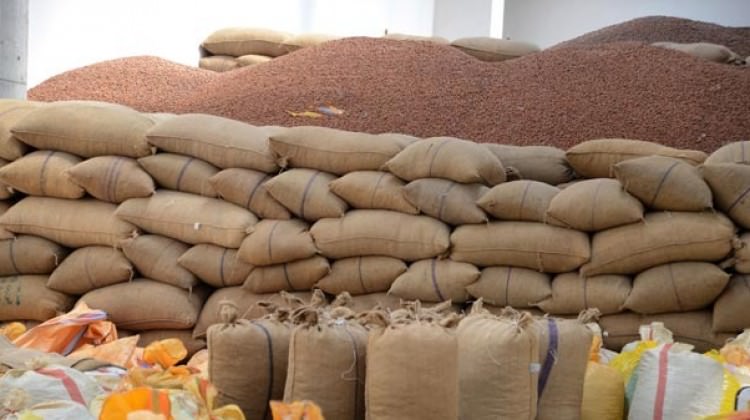 Fındıkta TSK sevinci