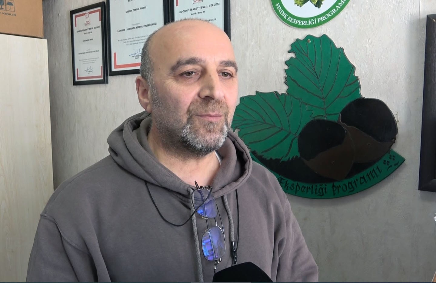 Fındıkta verim ve kaliteyi düşüren yanlış uygulamalar