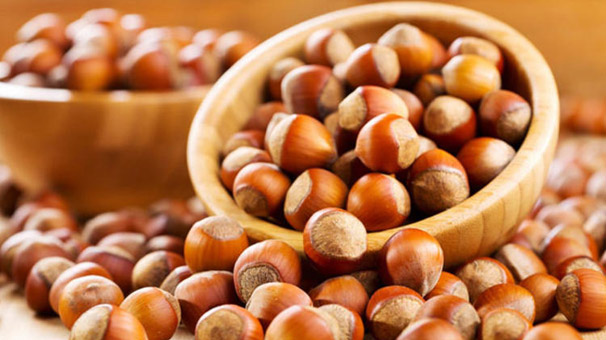 Fındıktan elde edilen gelir 10 kat çoğalabilir