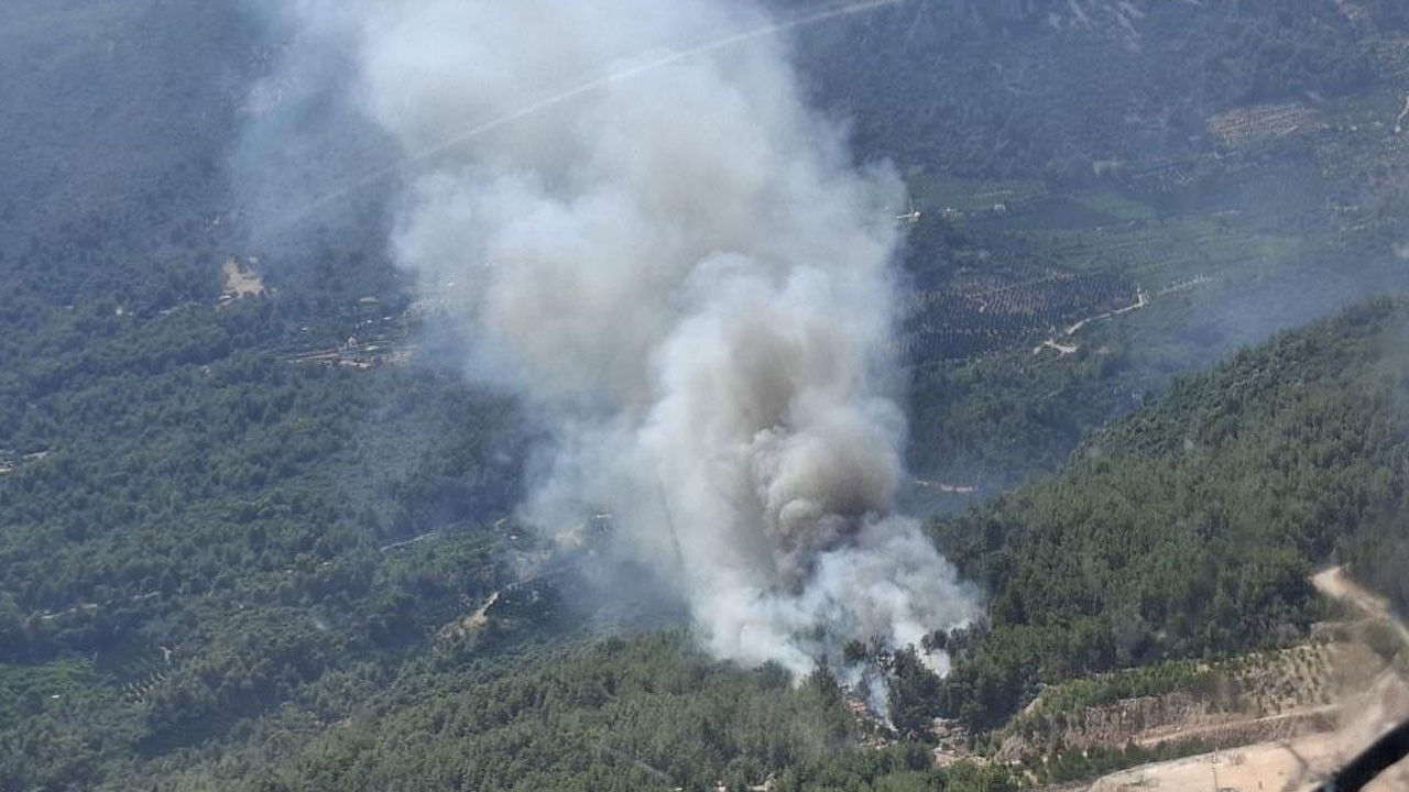 Finike'de de orman yangını çıktı!