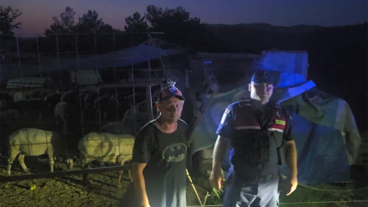 Firari koyunlar jandarma dronundan kaçamadı