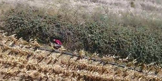 Firari mahkumu drone ile takip edip yakaladılar