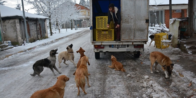 Fırıncıdan insanlık dersi
