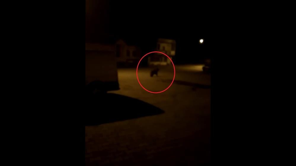 Fırının kapısını açınca şoka uğradı