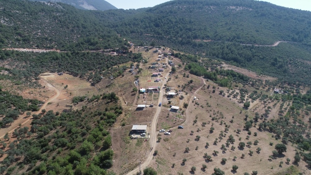 Fırsatçılar 40 dönümü yok etti 