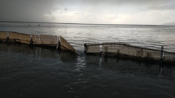 Fırtına ekmeklerinden etti! O ilimizde 100 ton balık denize kaçtı