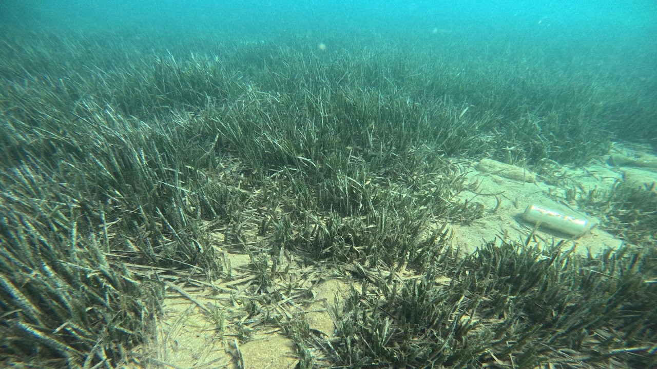 Fırtına o ülkeyi felç etti!