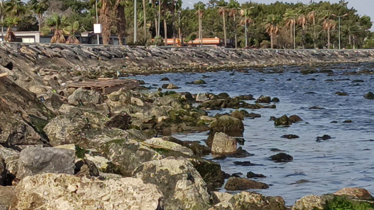 Fırtına sonrası deniz 50 metre çekildi!