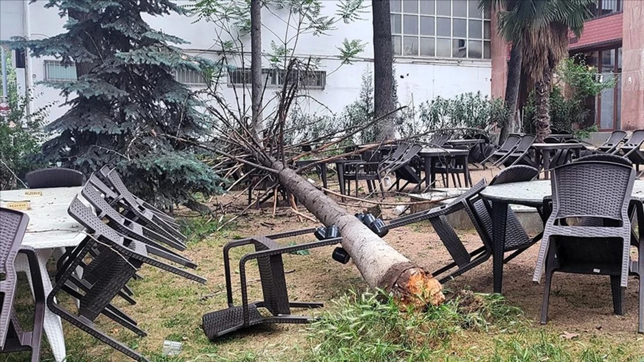 Fırtınada ağaç kafenin bahçesine devrildi
