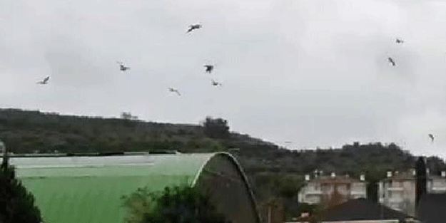 Fırtınada çatılar uçtu