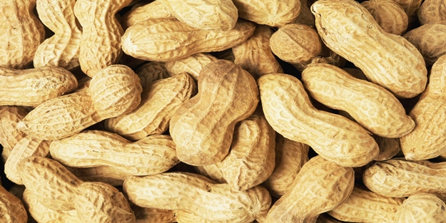 Fıstığın sağlığa faydaları