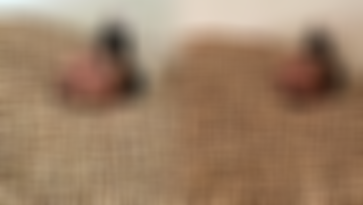 Fıstık deposunda rezillik! İğrenç ötesi görüntüler