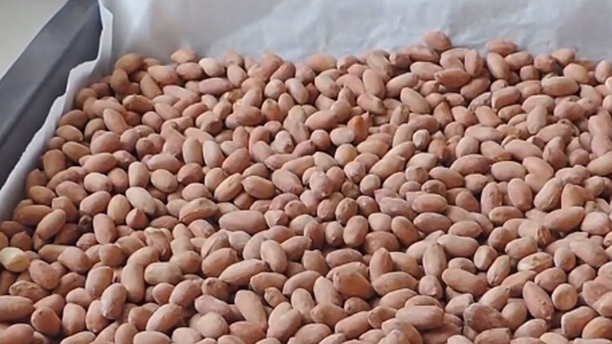 Fıstık yerken dış kısmını atan pişman olacak! Öyle bir faydası ortaya çıktı ki, duyunca avuç avuç yiyeceksiniz