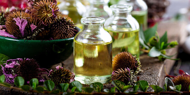 Fitoterapi nedir? Fitoterapi hangi hastalıklarda kullanılır?