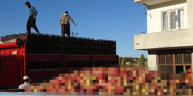 Fiyat dibe vurunca kuruş hesabı başladı