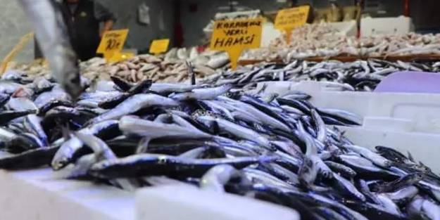 Fiyatı 15 TL'ye düştü!