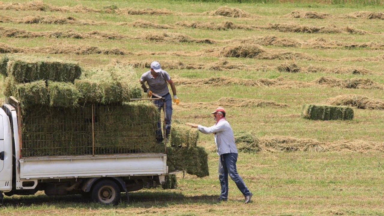 Fiyatı 3 ayda yüzde 18 yükseldi