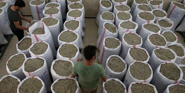 Fiyatı altınla yarışıyor!