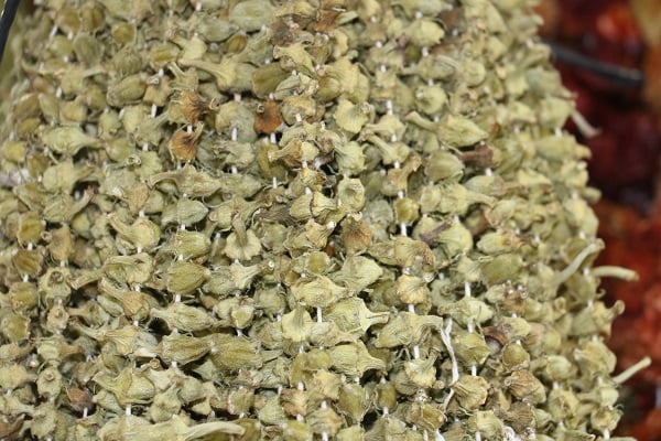 Fiyatı altınla yarışıyor! Kanser hastalarının 1 numaralı ilacı