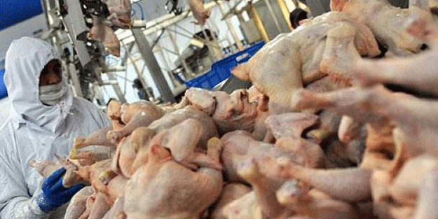 Fiyatı bir anda çakıldı… 20 liradan 11 liraya düştü!