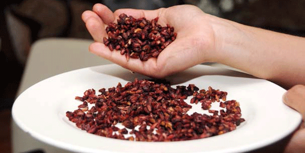 Fiyatı hızla düştü… Tonlarcası çöpe gitmekten son anda kurtuldu, sonuç herkesi şaşırttı