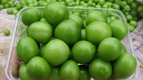 Fiyatını duyunca şok olacaksınız!