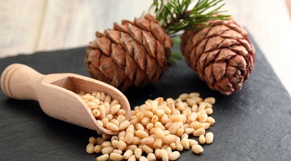 Fiyatıyla cep yakan çam fıstığının sağlığa olan faydaları sizi şaşkına çevirecek