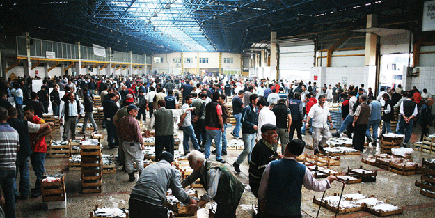 Fiyatlar çakıldı! Herkes kasa kasa alıyor