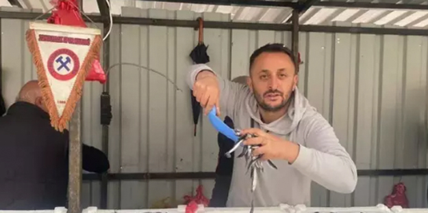 Fiyatlar düşüşe geçti vatandaşlar akın etti! İşte tezgahların en ucuz balığı: Tüm Türkiye'ye duyuruldu...