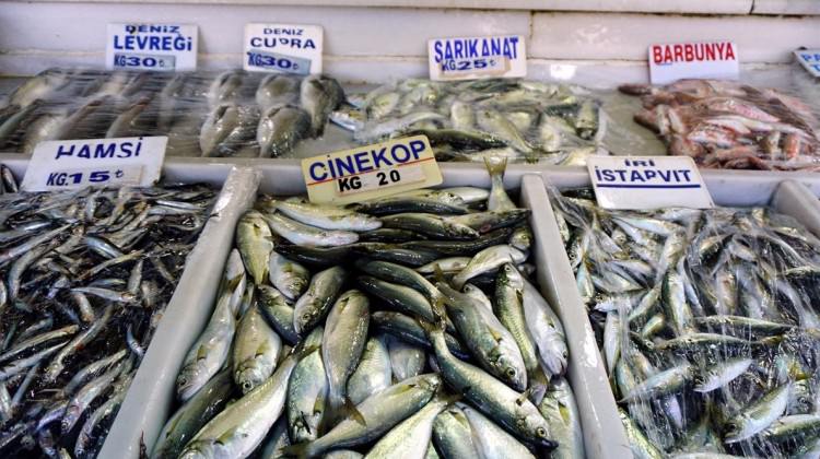 Fiyatları düştü! Vatandaş kasa kasa alıyor...