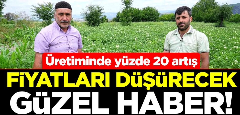 Fiyatları düşürecek güzel haber! Üretiminde yüzde 20 artış