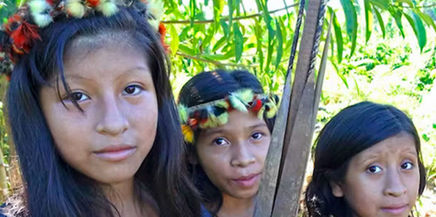 Fizyolojik ve arkeolojik kanıtlardaki keşif araştırmacıları şoka soktu: Uzmanlara göre kadınlar da avlanıyordu