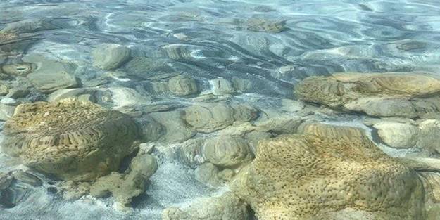 Flaş Salda Gölü açıklaması: Zaman içinde...