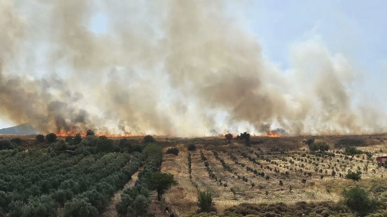 Foça'da korkutan yangın