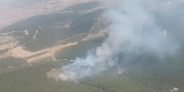 Foça'da orman yangını başladı