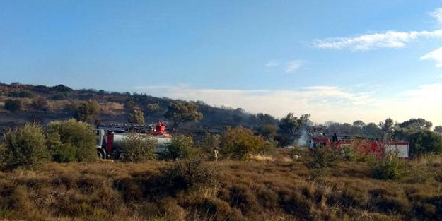 Foça'da otluk alandaki yangın sert rüzgarla kontrolden çıktı