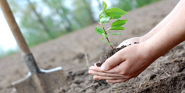Foça’daki orman yangınına jet müdahale