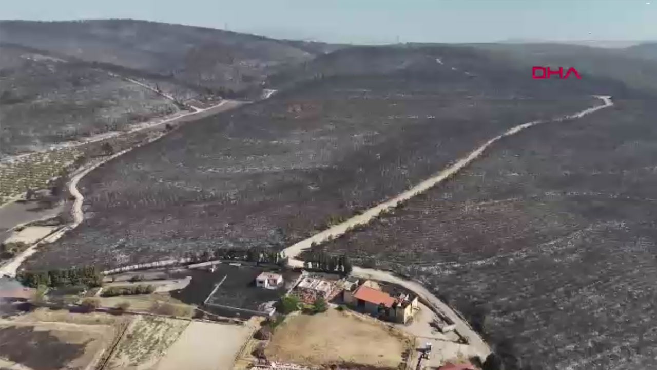 Foça'daki orman yangınında felaketin en net görüntüsü