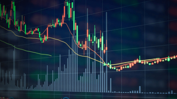 Forex şirketi kurmak