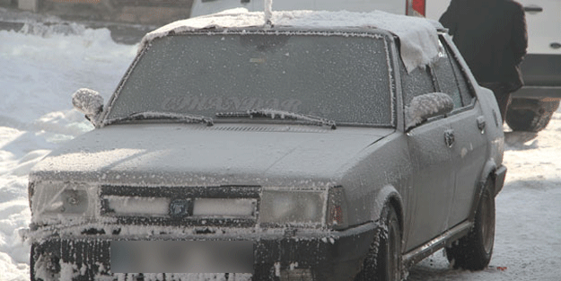 Fotoğraf bugün çekildi… Adeta donuyorlar