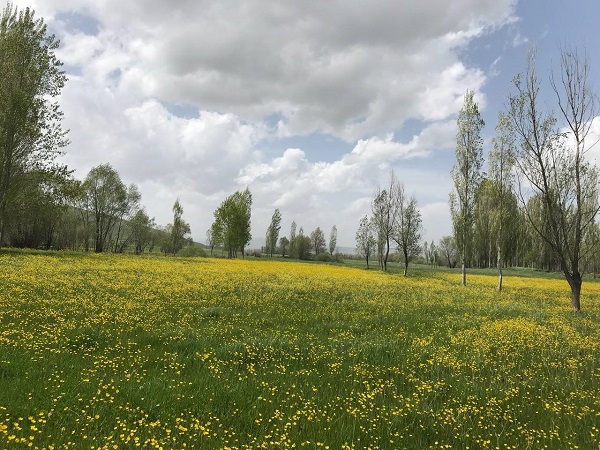 Fotoğraf çekmek isteyenler akın ediyor