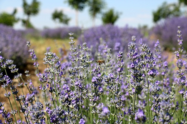 Fotoğraf tutkunlarının yeni adresi