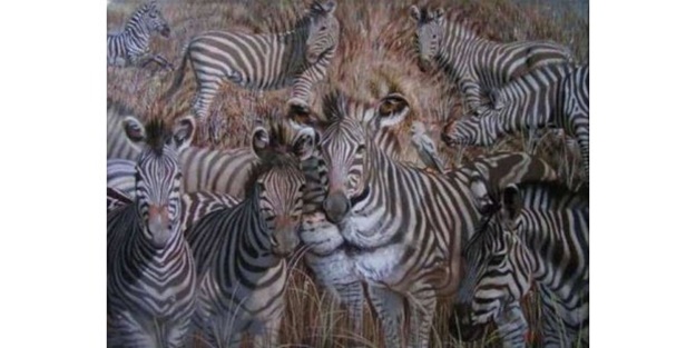 Fotoğrafa bakınca ilk gördüğünüz hayvan kişiliğiniz hakkında bilgi veriyor!