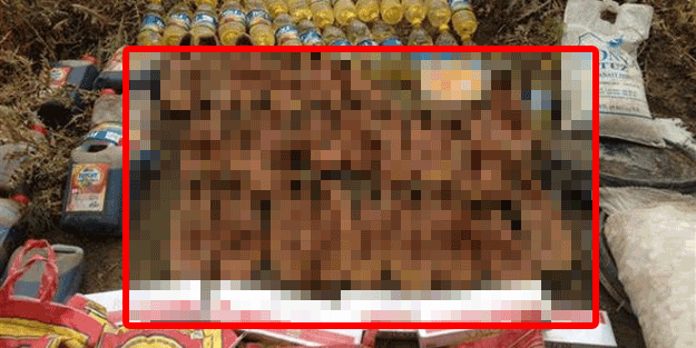 Fotoğraflar az önce geldi, Hepsi Buzul Dağlarında bulundu