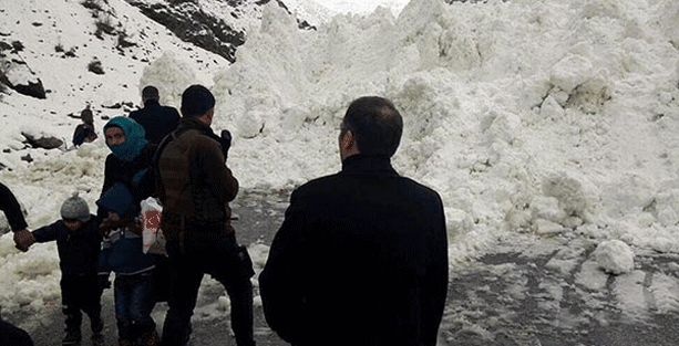 Fotoğraflar az önce geldi: Kelimenin tam anlamı ile korkunç