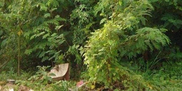 Fotoğraftaki keskin nişancıyı görebildiniz mi?