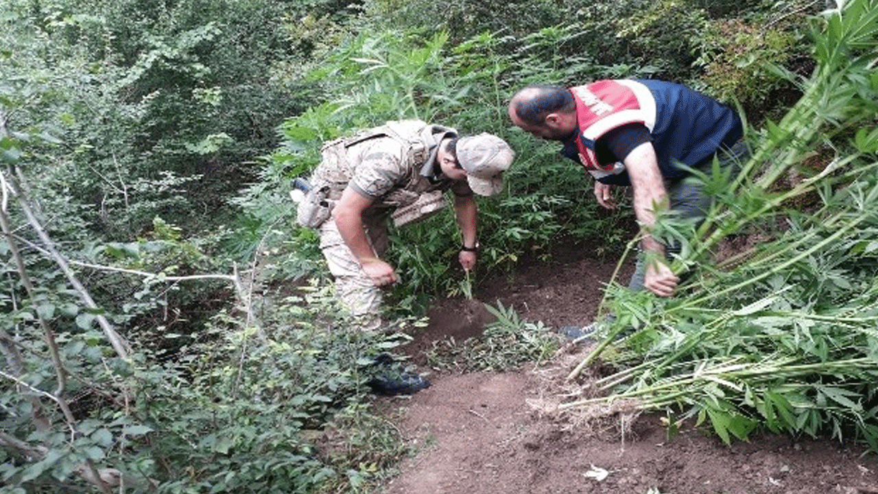 Fotokapan onu ele verdi! Neye uğradığını şaşırdı