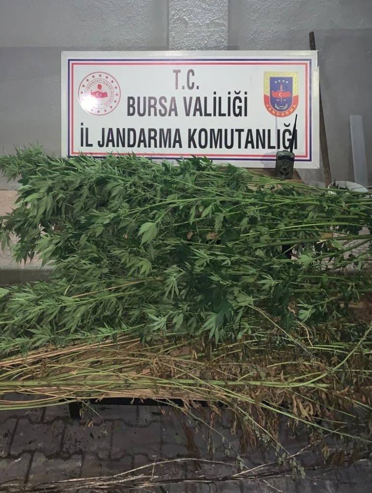 Fotokapanla zehir tacirlerini yakaladılar 