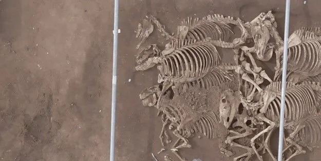 Fransa devleti olağanüstü keşif diyerek duyurdu: 2 bin yıllık kalıntılar bulundu