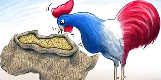 Fransa eski kolonilerini sömürmeye devam ediyor